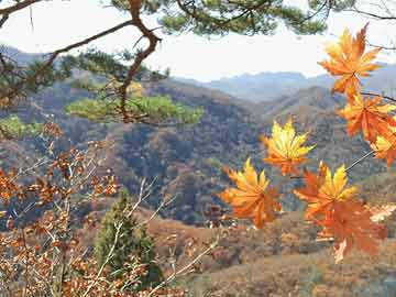 恒信绿地公馆最新消息